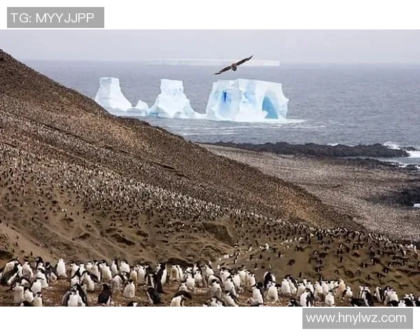 探索全球足球明星的独特昵称与背后的故事分享