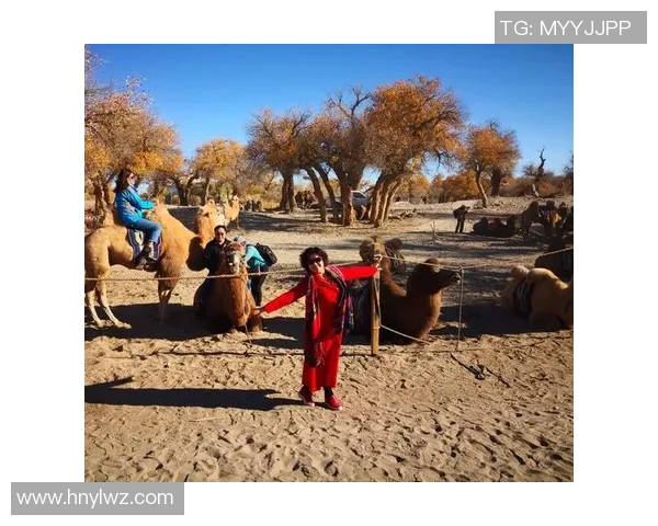 服役中的足球明星：他们如何在军旅生涯中继续追逐梦想与荣耀