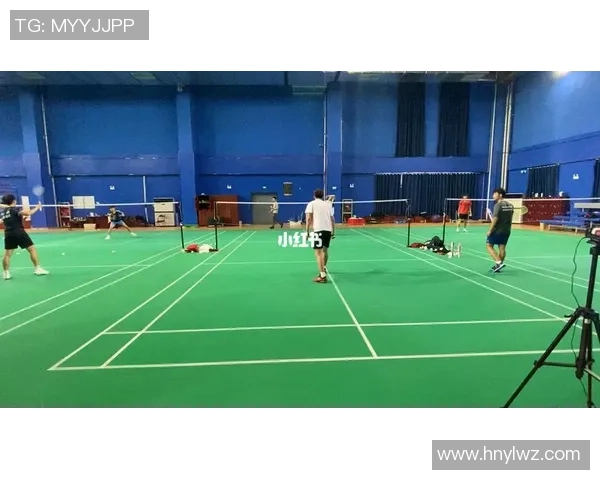 杭州羽毛球队在邀请赛中的战术分析与表现评估 杭州羽毛球队在邀请赛中的战术分析与表现评估